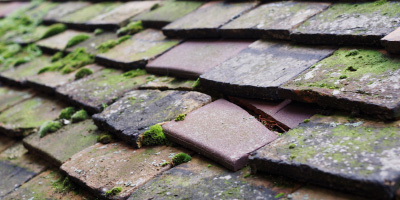 Weedon Hill roof repair costs